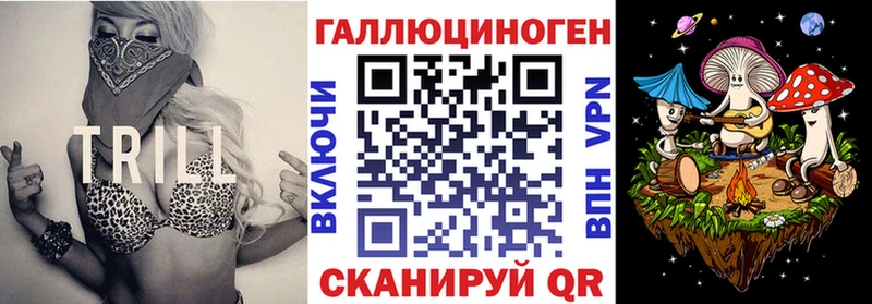 Купить  Курчалой  Псилоцибиновые грибы Psilocybine cubensis 